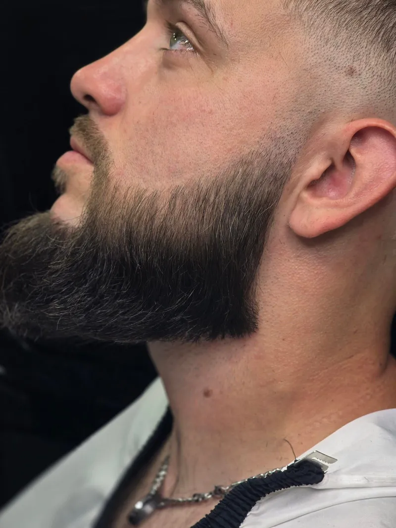 Evolutionary Blades barber work 2